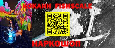 гашик Будённовск