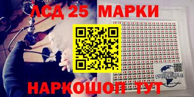 гашик Будённовск