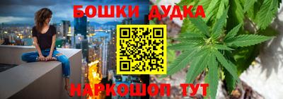 гашик Будённовск