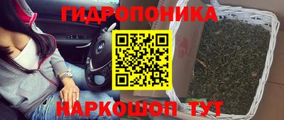 гашик Будённовск