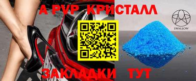 гашик Будённовск