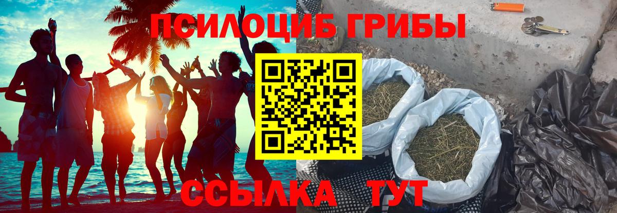 Псилоцибиновые грибы мицелий  Галлюциногенные грибы прущие грибы  Переславль-Залесский  Вход с VPN 